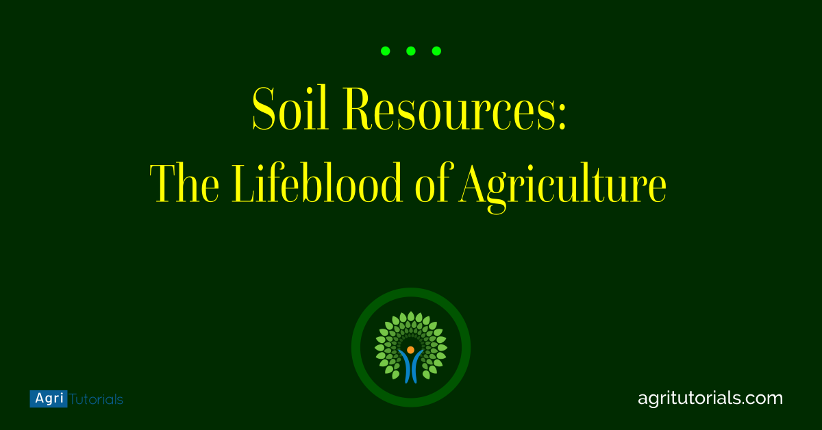Soil Resources The Lifeblood of Agriculture